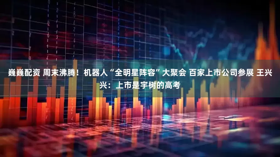 巍巍配资 周末沸腾！机器人“全明星阵容”大聚会 百家上市公司参展 王兴兴：上市是宇树的高考